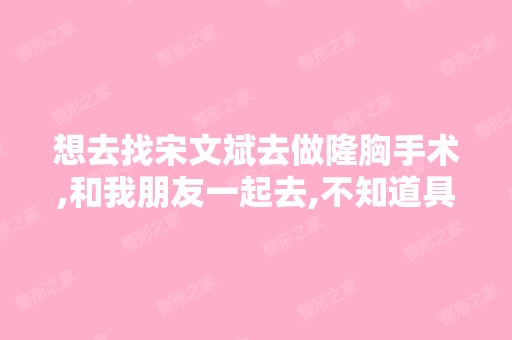 想去找宋文斌去做隆胸手术,和我朋友一起去,不知道具体在哪里？