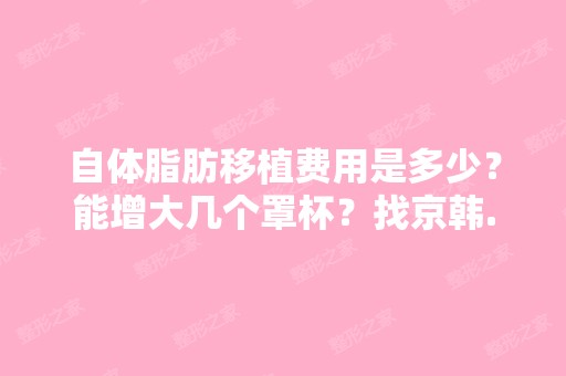 自体脂肪移植费用是多少？能增大几个罩杯？找京韩...