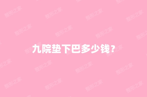 九院垫下巴多少钱？