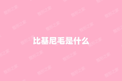 比基尼毛是什么