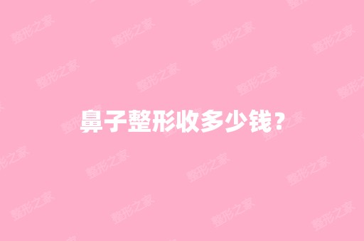 鼻子整形收多少钱？