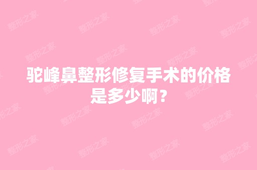 驼峰鼻整形修复手术的价格是多少啊？