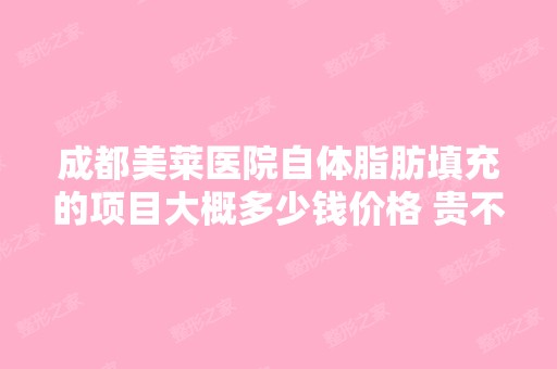 成都美莱医院自体脂肪填充的项目大概多少钱价格 贵不贵 效果怎么样 ...