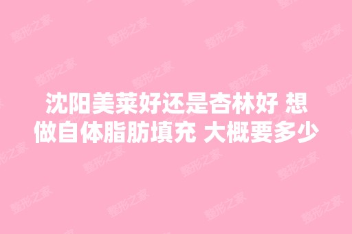 沈阳美莱好还是杏林好 想做自体脂肪填充 大概要多少钱