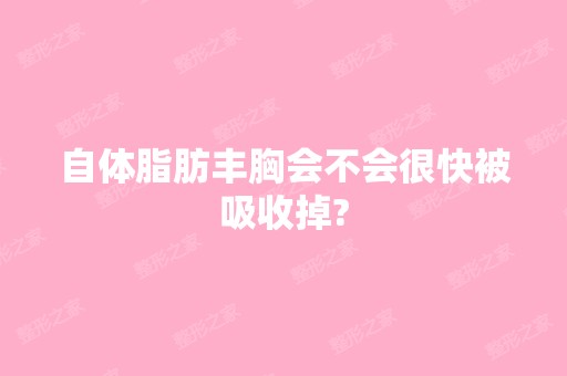 自体脂肪丰胸会不会很快被吸收掉?