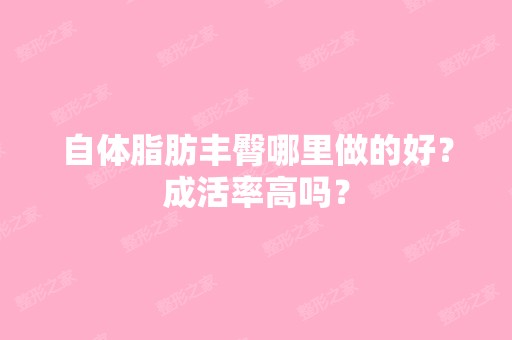 自体脂肪丰臀哪里做的好？成活率高吗？