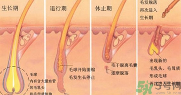 纹眉后要补色吗？纹眉后多久可以补色？ 