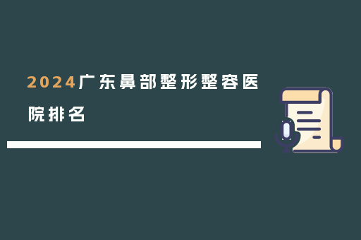 2024广东鼻部整形整容医院排名